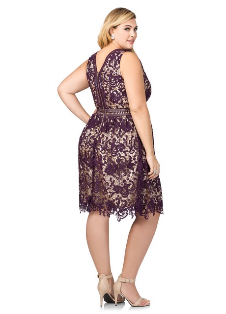 lace-dresses-for-special-occasions-73_3 Lace dresses for special occasions