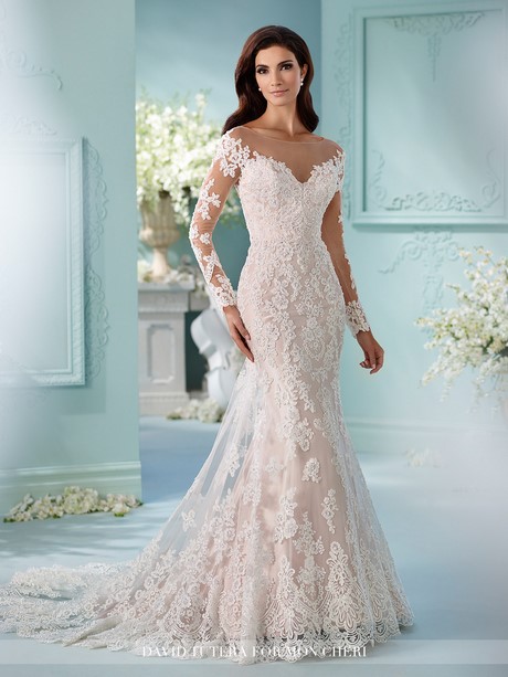 wedding-dress-with-sleeves-2017-93 Wedding dress with sleeves 2017
