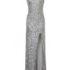 Silver maxi dress