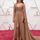 Dresses at the oscars 2022