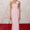 Oscars 2022 red carpet gowns