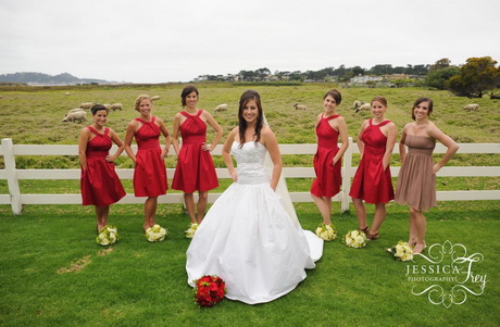 bride-and-bridesmaid-dresses-14-17 Bride and bridesmaid dresses