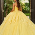 Yellow quinceanera dresses 2022