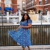 Perceptions fit and flare dress