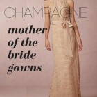 Mother of the bride dresses champagne color